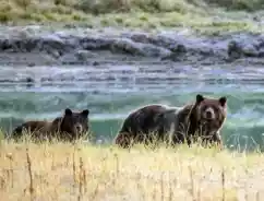 Daftar 10 Kesalahan Investasi Reksadana Wajib Dihindari Pemula