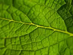 Ciri Asuransi Jiwa Terbaik Terpercaya Indonesia