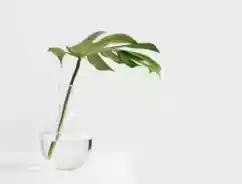 Alasan Mengapa Asuransi Kesehatan Penting Meskipun Ada BPJS