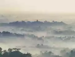 Pengertian Perencana Keuangan: Apa Itu, Jenis, Manfaat, Harga Fee Jasa