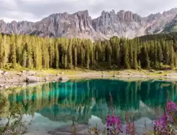 10 Keuntungan dan Kerugian Reksadana bagi Investor