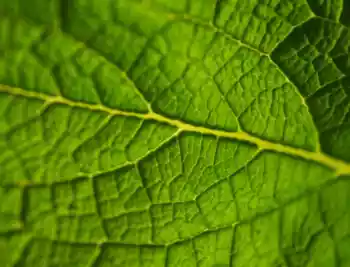 Ciri Asuransi Jiwa Terbaik Terpercaya Indonesia