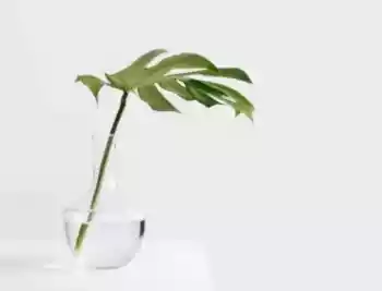 Alasan Mengapa Asuransi Kesehatan Penting Meskipun Ada BPJS