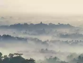 Pengertian Perencana Keuangan: Apa Itu, Jenis, Manfaat, Harga Fee Jasa