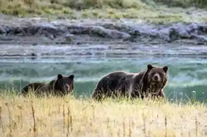 Daftar 10 Kesalahan Investasi Reksadana Wajib Dihindari Pemula