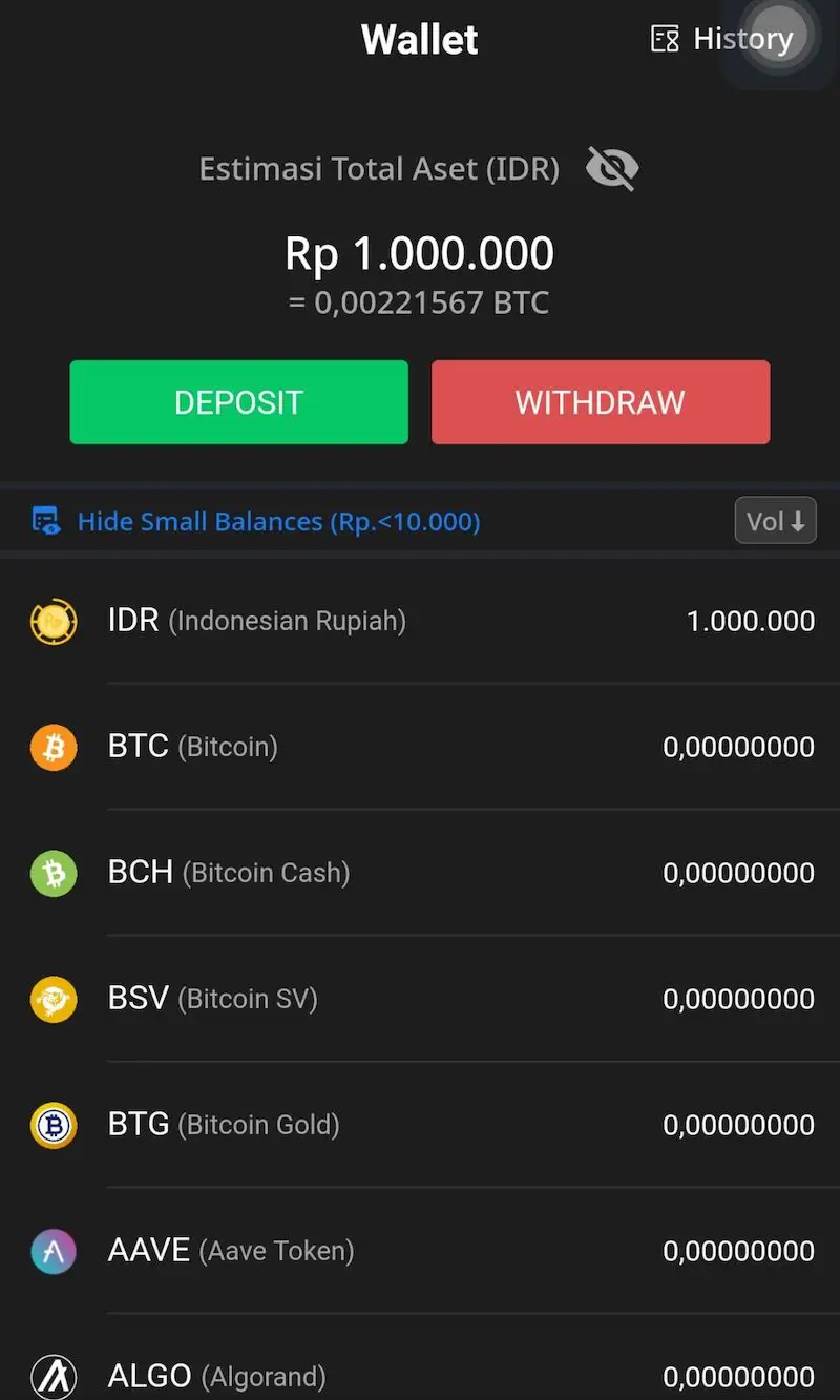 Wallet Bitcoin Crypto