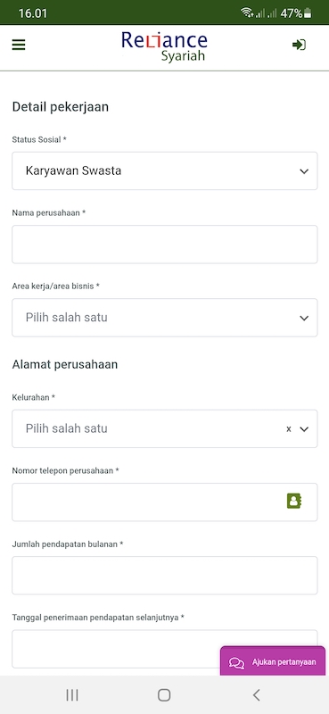 Pengisian data pekerjaan dan jumlah penghasilan per bulan. 