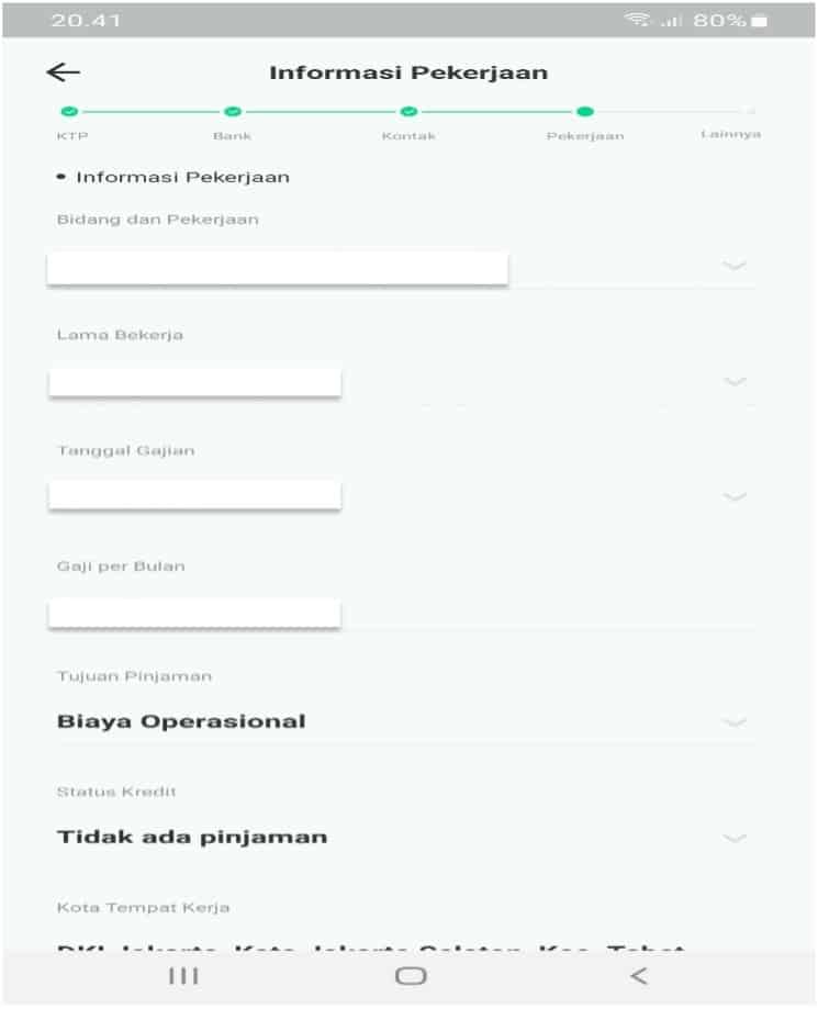 isi Informasi Pekerjaan Aplikan di Aplikasi Easycash