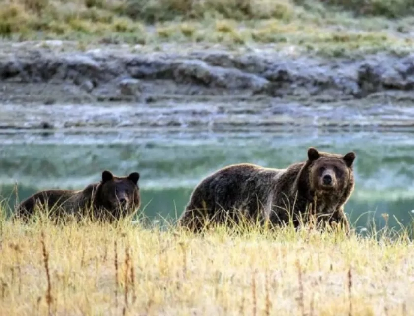 Daftar 10 Kesalahan Investasi Reksadana Wajib Dihindari Pemula