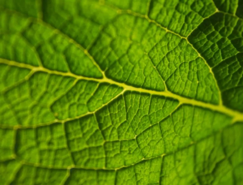 Ciri Asuransi Jiwa Terbaik Terpercaya Indonesia