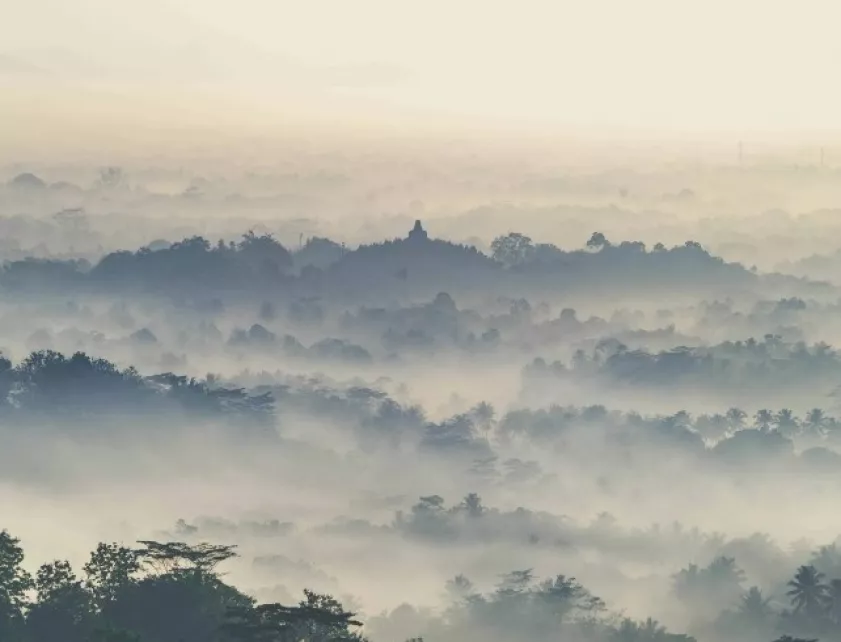 Pengertian Perencana Keuangan: Apa Itu, Jenis, Manfaat, Harga Fee Jasa